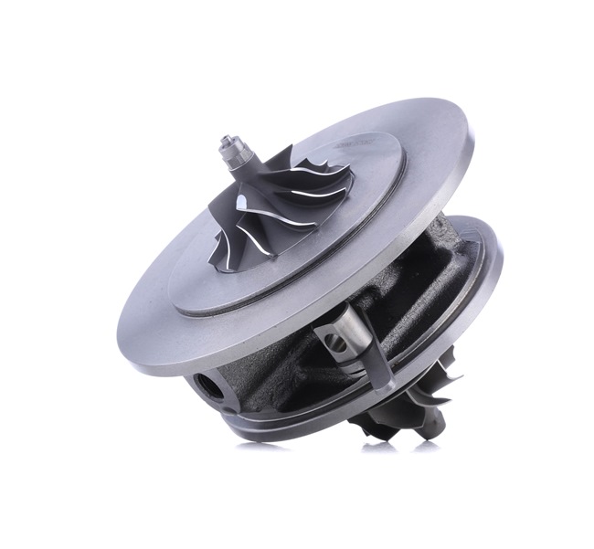 RIDEX 4973C0055 Turbinos kartridžas RENAULT SCENIC 2 (JM0/1) 106 AG dyzelinas kaina