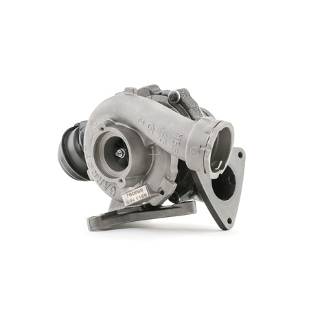 RIDEX REMAN 2234C0144R: Turboaggregat