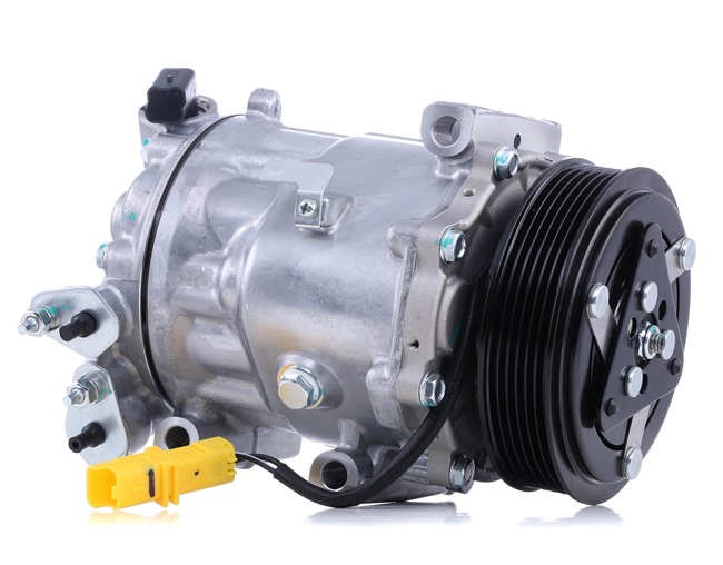 RIDEX 447K0505 Compressore aria condizionata CITROЁN C5 III Station Wagon (RW_) 136 CV Diesel costo