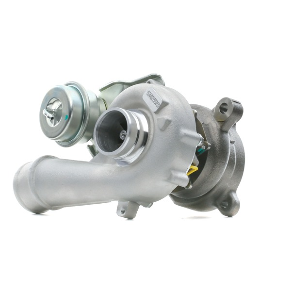 RIDEX 2234C0444: Turbolader mit Dichtungen