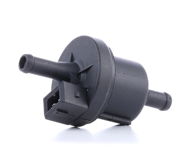 RIDEX 1411B0010: Udluftningsventil, brændstoftank