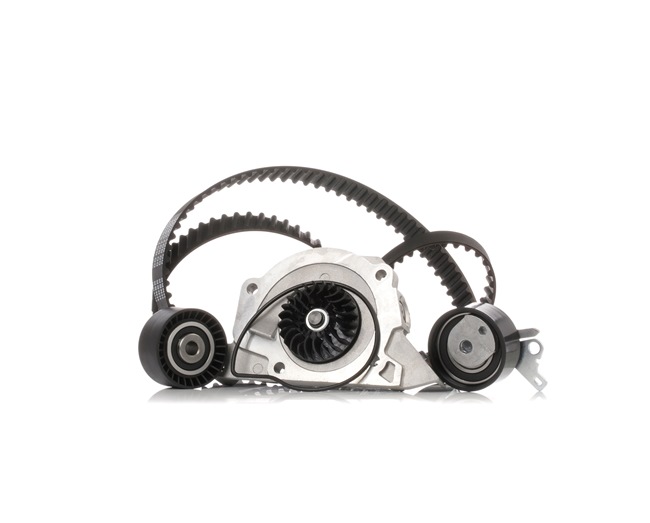 RIDEX 3096W0309 Distributieriem set + waterpomp PEUGEOT 206 Hatchback (2A/C) 136 Pk Benzine kosten