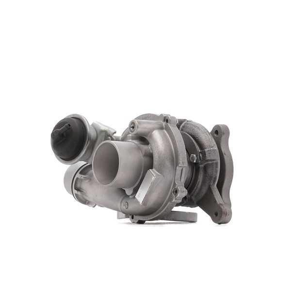 RIDEX REMAN 2234C0450R: Turbod