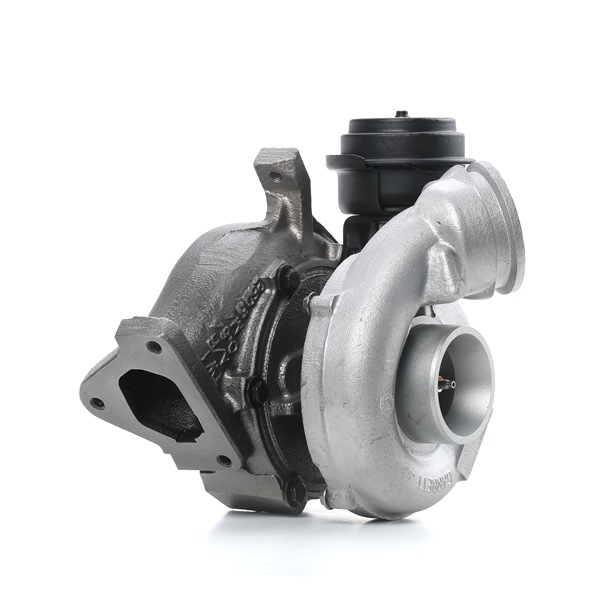 RIDEX REMAN 2234C0395R: Turbolader ohne Anbau-/Befestigungsmaterial