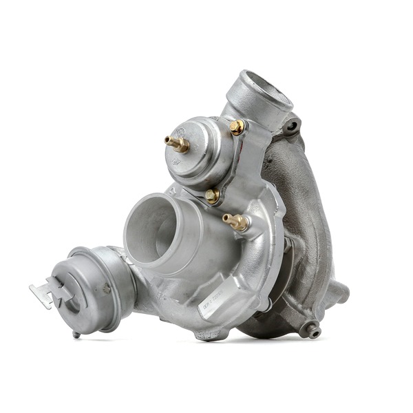 RIDEX REMAN 2234C0494R: Turbolader ohne Anbau-/Befestigungsmaterial