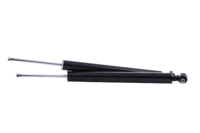 RIDEX 854S17799: Schokdemper Achteras, Gasdruk, Telescoop-schokdemper