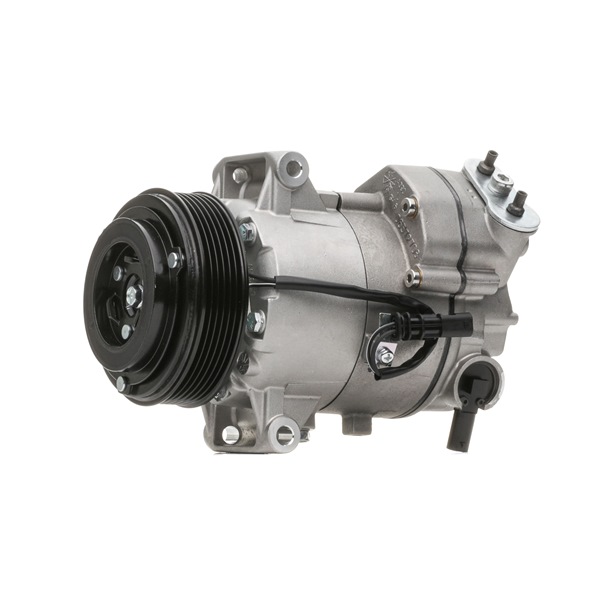 RIDEX 447K0506: Aircopomp