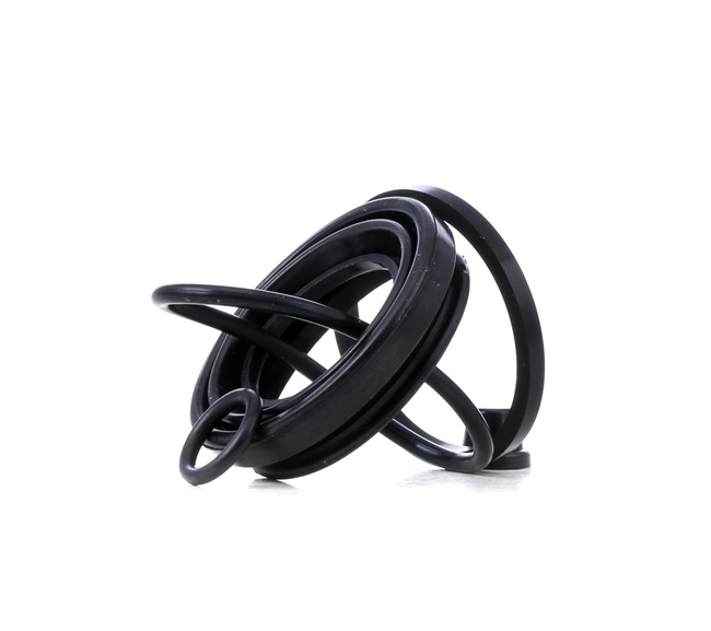 RIDEX 405R0150: Zestaw naprawczy, zacisk hamulca