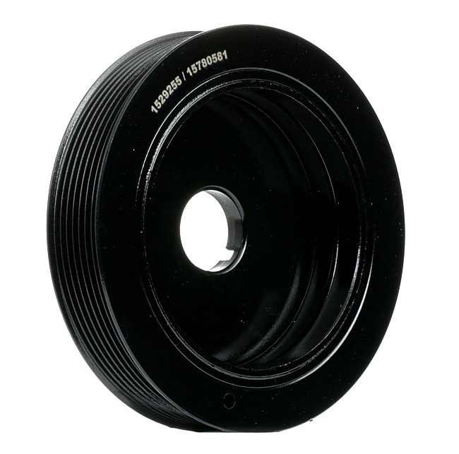 RIDEX 3213B0180 Puleggia cinghia albero a gomiti RENAULT MODUS / GRAND MODUS (F/JP0_) 112 CV Benzina costo