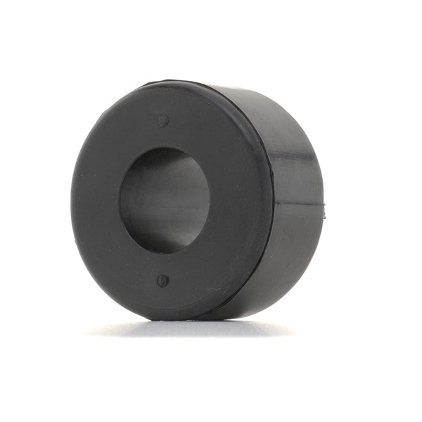 RIDEX 251T0669: Lagerung, Lenker hinten, Vorderachse unten