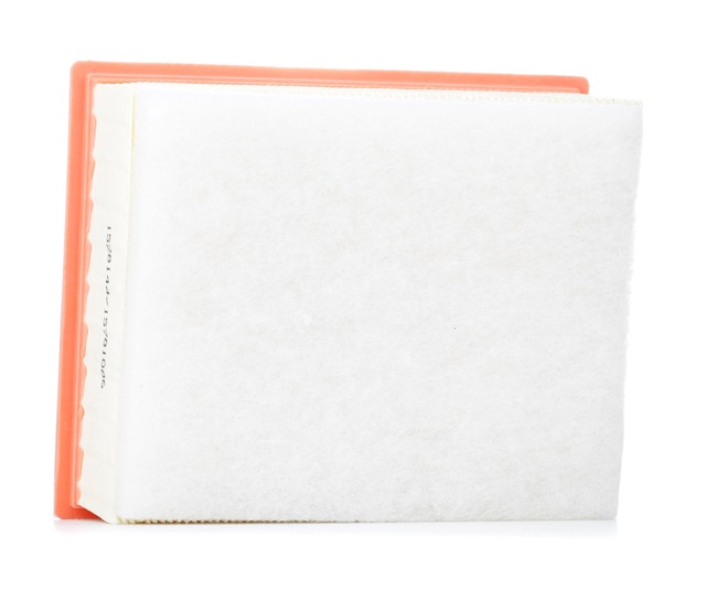 RIDEX 8A1615 Luftfilter mit Vorfilter