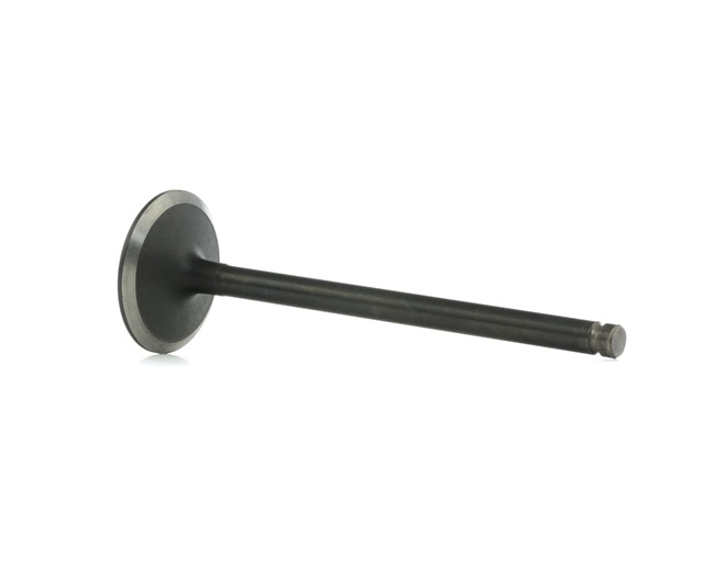 RIDEX 1269I0013: Einlaßventil