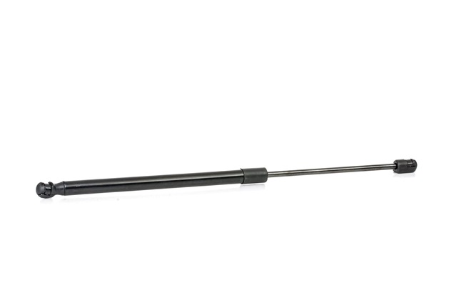 RIDEX 219G0955 Bagklapsdæmper AUDI A6 Avant (4F5, C6) 190 HK Benzin hvad koster