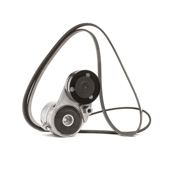 RIDEX 542R0534 Σετ ιμάντων poly-V AUDI A4 Avant (8E5, B6) 163 PS Βενζίνη κόστος