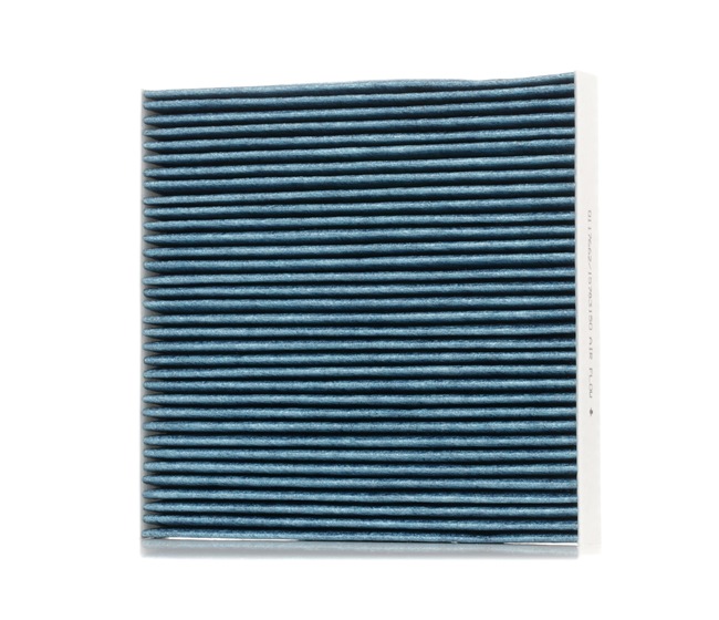 STARK SKIF-0170518: Filtro abitacolo Filtro carboni attivi con polifenolo, con effetto antibatterico, Filtro per polveri fini (PM 2.5), con azione fungicida