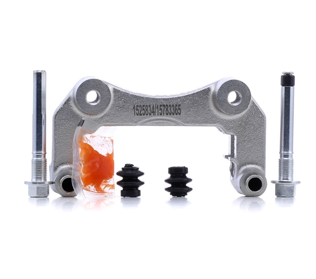 RIDEX 1009C0071: Bremssattelhalter Hinterachse, rechts, links, Hinterachse rechts, Hinterachse links