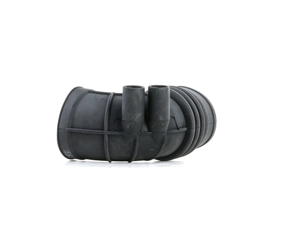 RIDEX 1591I0027: Õhutoru,õhufilter