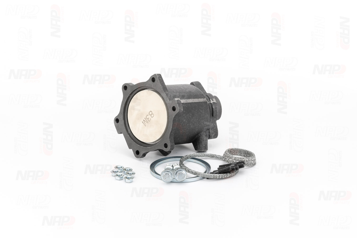 NAP carparts CAK10192: Katalizator z materiałem montażowym/ mocującym