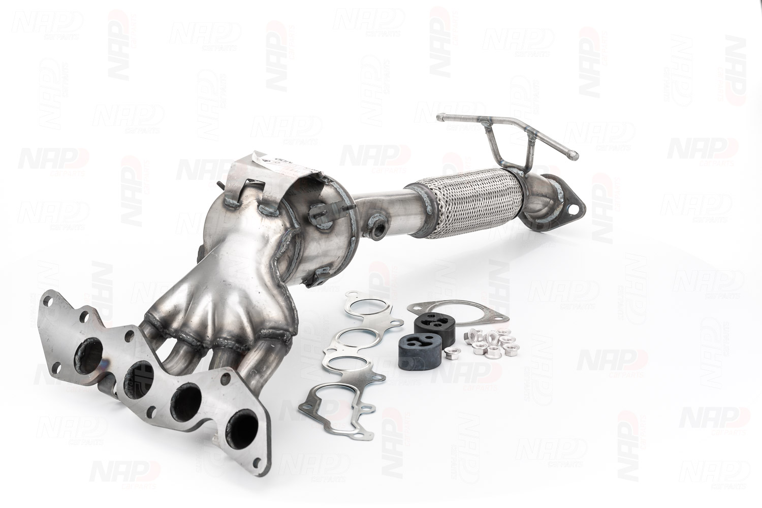 NAP carparts CAK10418: Katalizator