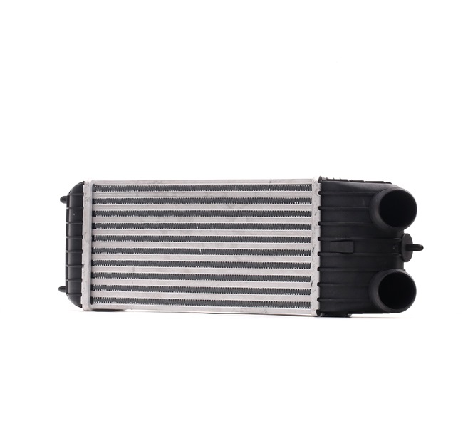 RIDEX 468I0139 Ladeluftkühler CITROЁN C3 Picasso 90 PS Diesel Kosten