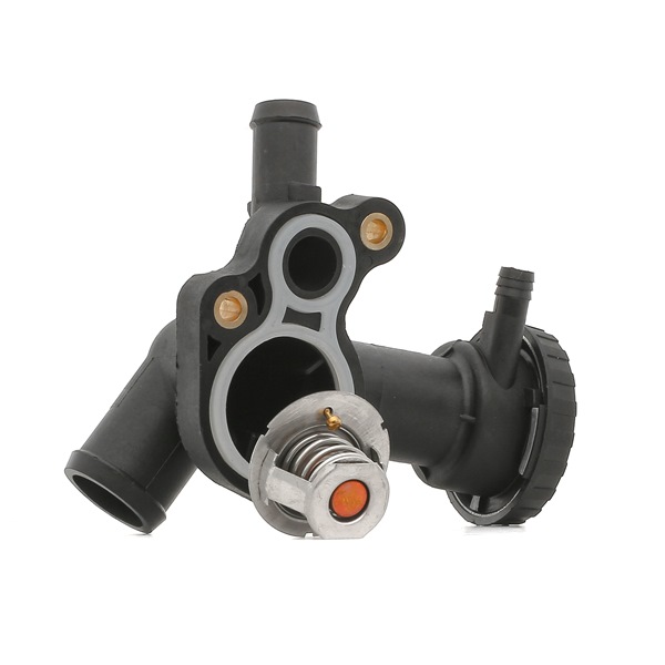 RIDEX 316T0293 Termostatas, aušinimo skystis MINI Hatchback (R50, R53) 90 AG benzinas kaina