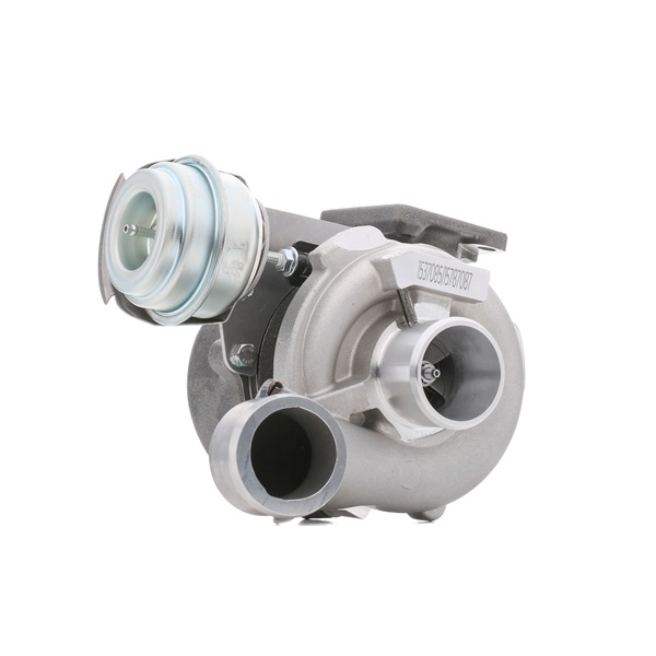 RIDEX 2234C10019: Turboahdin ilman asennus-/kiinnitysmateriaalia