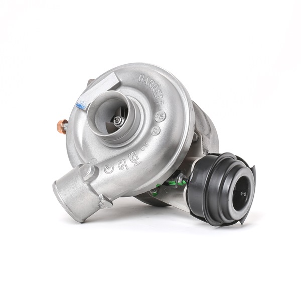 RIDEX REMAN 2234C10029R: Turbolader ohne Anbau-/Befestigungsmaterial