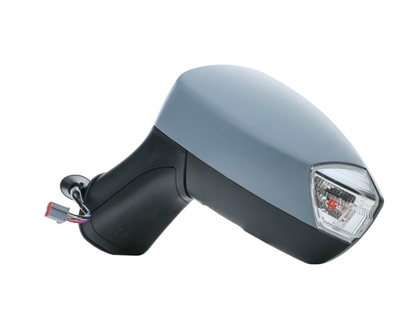 RIDEX 50O0761: Espejo retrovisor izquierda
