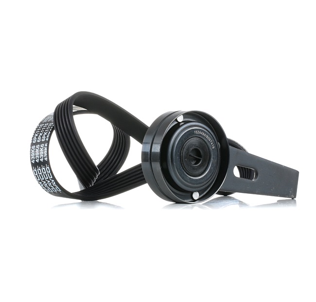 RIDEX 542R0539 Poly V-riem set FIAT SCUDO Open laadbak/ Chassis (220_) 92 Pk Diesel kosten