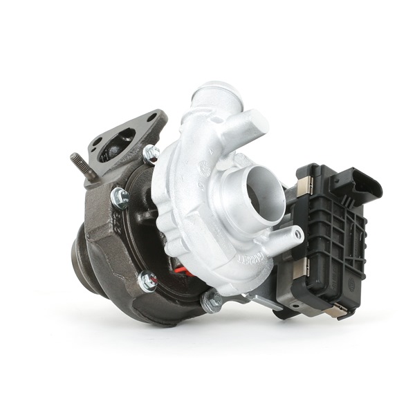 RIDEX REMAN 2234C10053R: Turbocharger zonder montage-/bevestigingsmateriaal