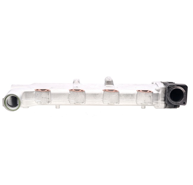 RIDEX REMAN 4198E0011R: Modul-EGR