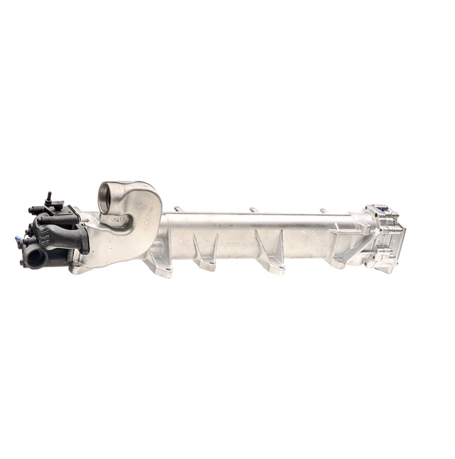 RIDEX REMAN 4198E0013R: EGR-moodul