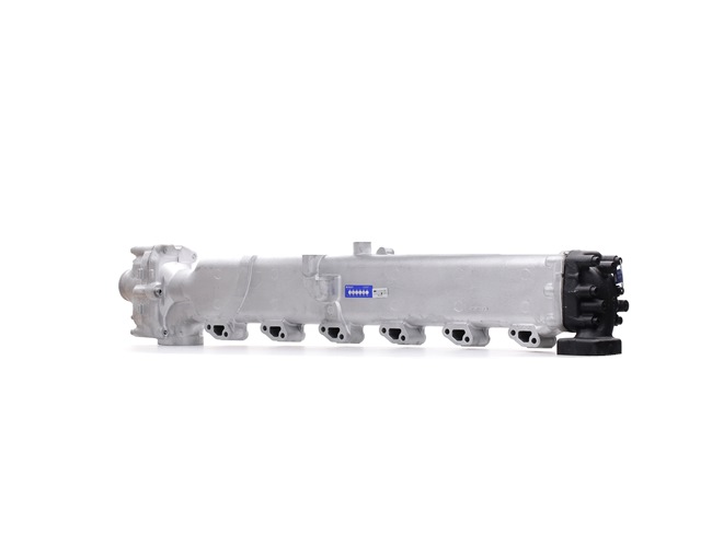 RIDEX REMAN 4198E0014R: EGR-modul