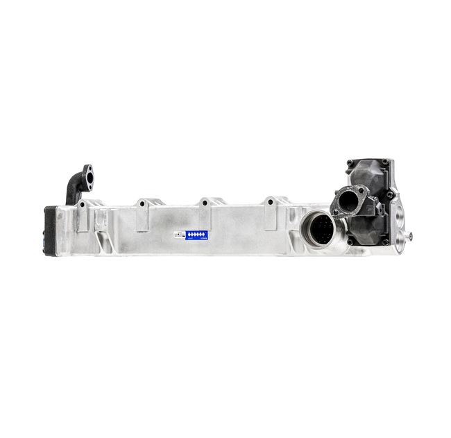 RIDEX REMAN 4198E0015R: EGR-modul
