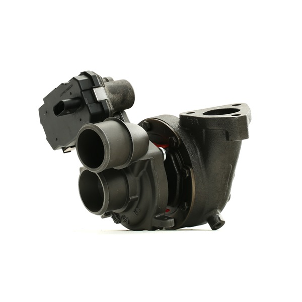 RIDEX REMAN 2234C10066R: Turbocharger zonder montage-/bevestigingsmateriaal