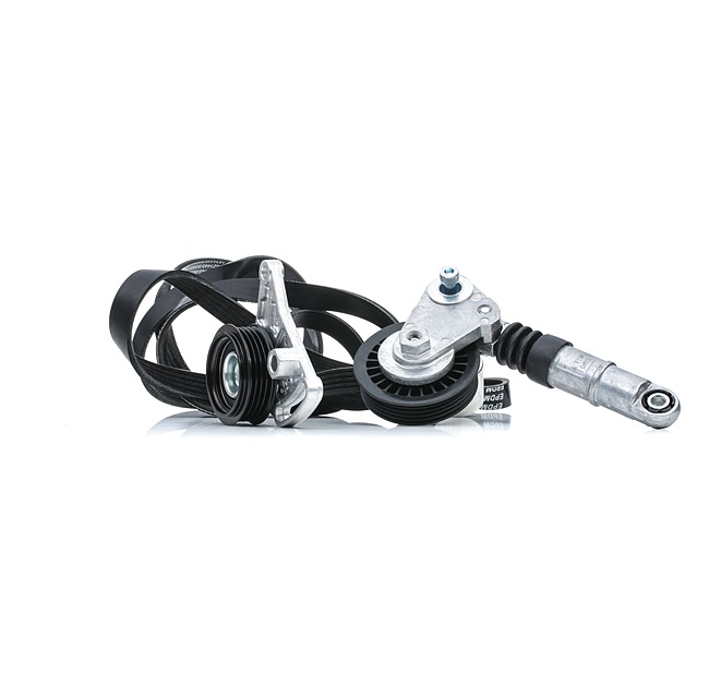 RIDEX 542R0542 Комплект пистов ремък AUDI A4 Седан (8E2, B6) 130 K.C. дизел цена