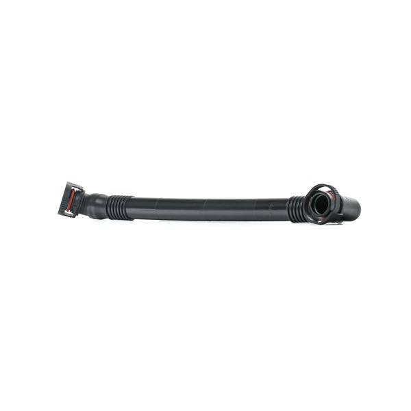 RIDEX 1600H16000016: Furtun, aerisire bloc motor centru