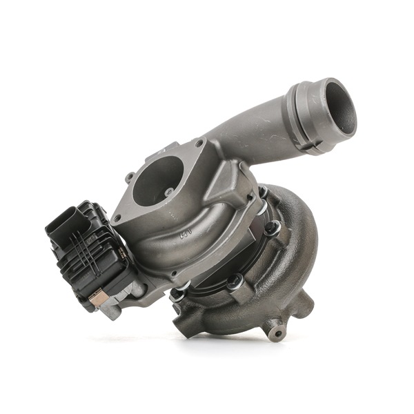 RIDEX REMAN 2234C10076R: Turbolader ohne Anbau-/Befestigungsmaterial