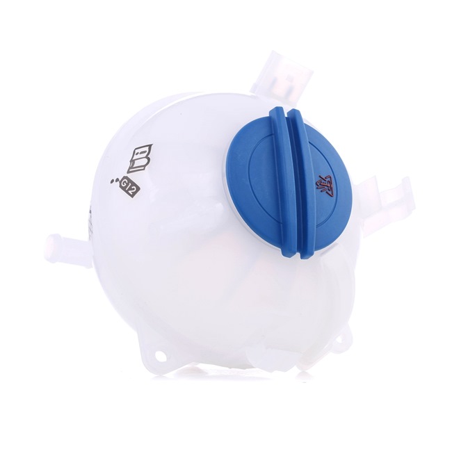 STARK SKET-0960155 Vas de expansiune, racire VW Passat Sedan (3C2) 250 CP benzina cat costa