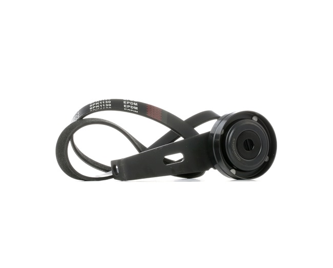 RIDEX 542R0544 Комплект пистов ремък VW Passat Variant (3C5) 140 K.C. дизел цена