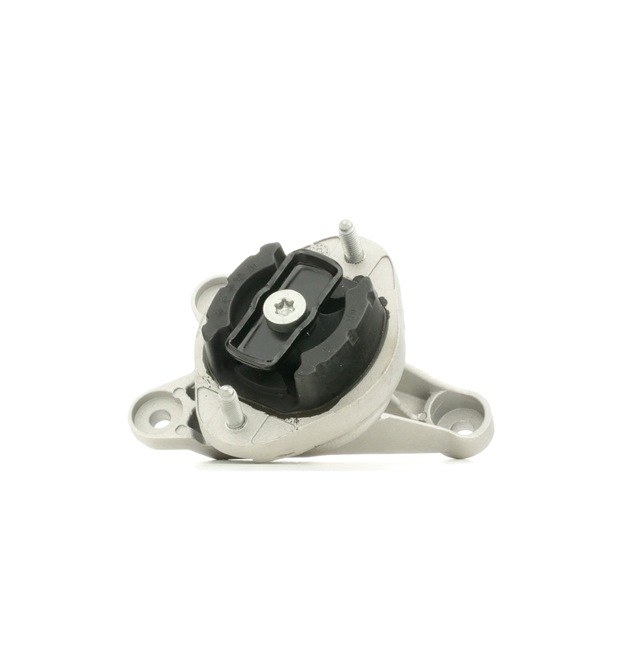 RIDEX 249M0009: Lagerung, Schaltgetriebe hinten