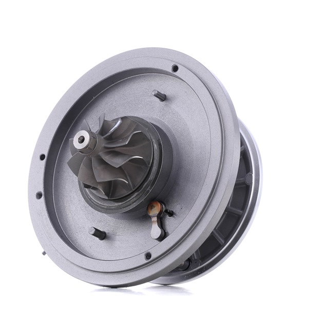 RIDEX 4973C0064 Turbinos kartridžas VOLKSWAGEN Passat Variant (3C5) 140 AG dyzelinas kaina