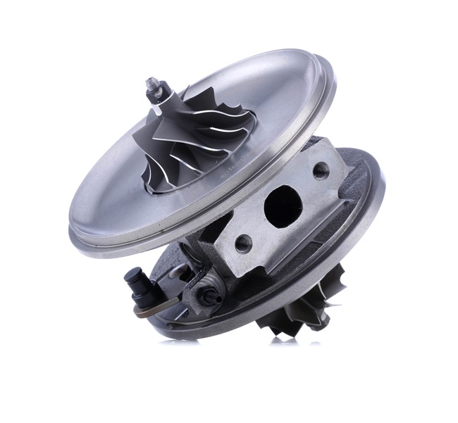 RIDEX 4973C0066: Rumpfgruppe, Lader