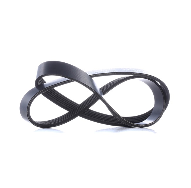 STARK SKPB-0090325: Multiriem 1029mm, Ribbenaantal: 6, Elastic