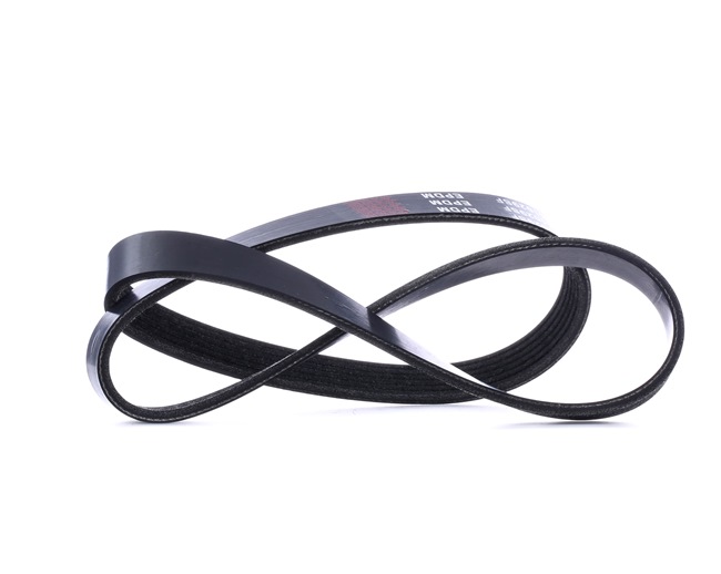 RIDEX 305P0471 Correa trapecial poli V FORD FIESTA 4 (JA, JB) 103 cv Gasolina costo