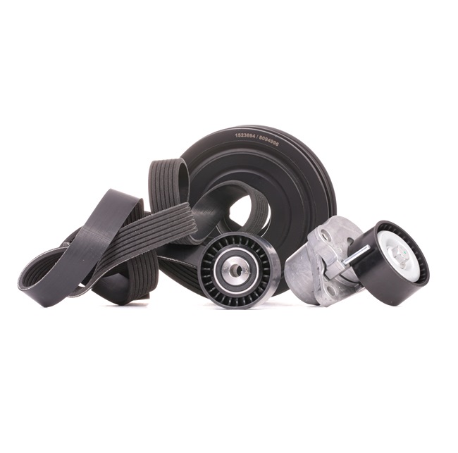 RIDEX 542R0546 Jeu de courroies trapézoïdales à nervures RENAULT ESPACE 4 (JK0/1) 173 CV Diesel coût