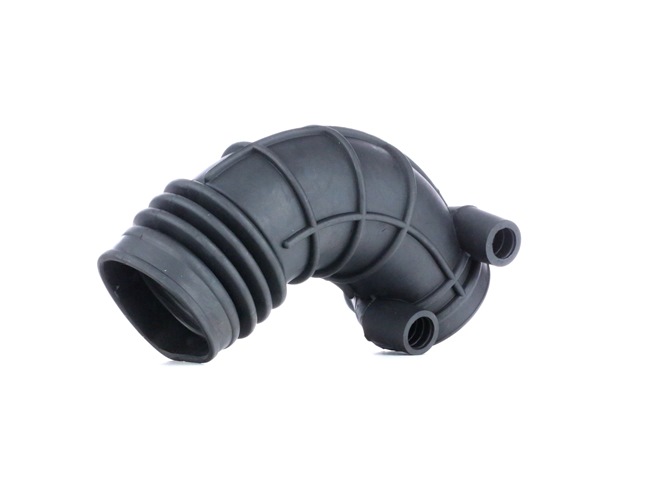 RIDEX 1591I0037: Sugeslange, luftfilter