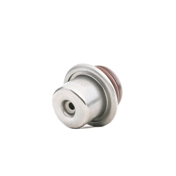 RIDEX 168C0014 Kraftstoffdruckregler CITROЁN C5 I (DC_) 207 PS Benzin Kosten