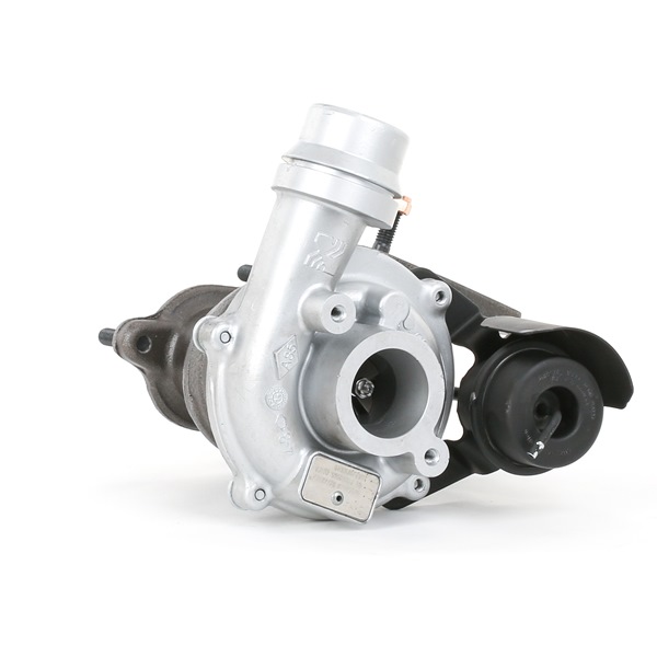 RIDEX REMAN 2234C10119R Turbodmychadlo DACIA LOGAN EXPRESS (FS_) 88 HP Diesel cena
