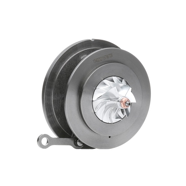 RIDEX 4973C0069: Rumpfgruppe, Lader mit Dichtung
